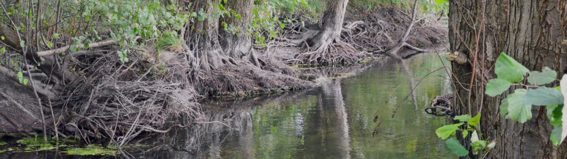 Bild: Heimatgemeinschaft Eckernförde