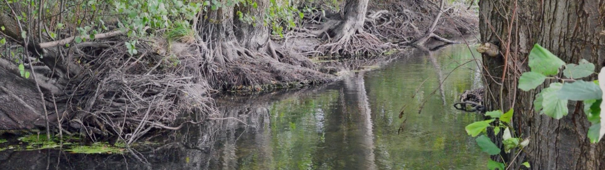 Die Schirnau Bild von Heimatgemeinschaft Eckernförde