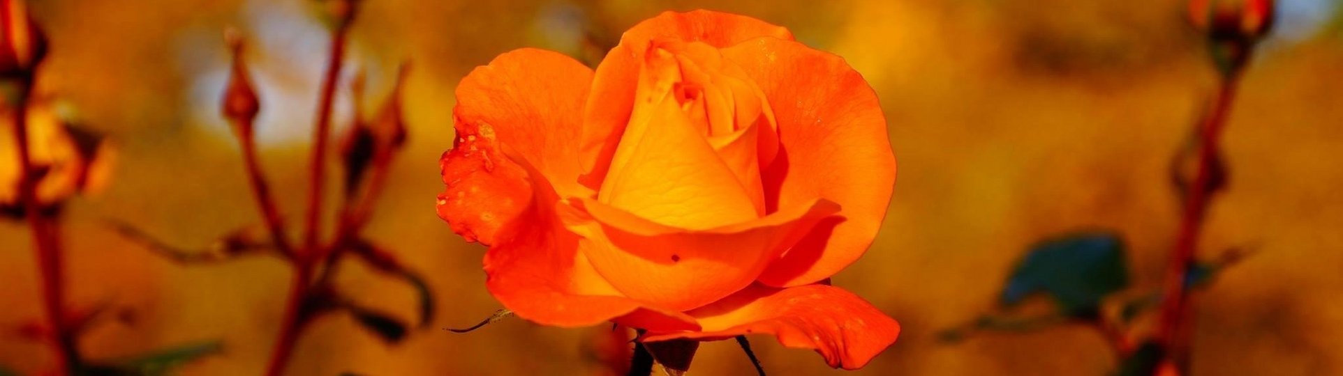 Foto von Andrea Mayer