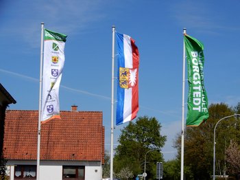 angepasste Flaggen ans Schullogo